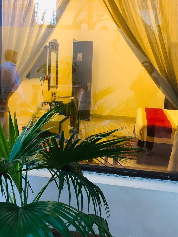 Bed and Breakfast The Neem Nowe Delhi Zewnętrze zdjęcie